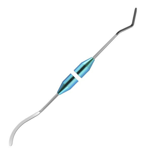 03-01 Гладилка серповидная средняя